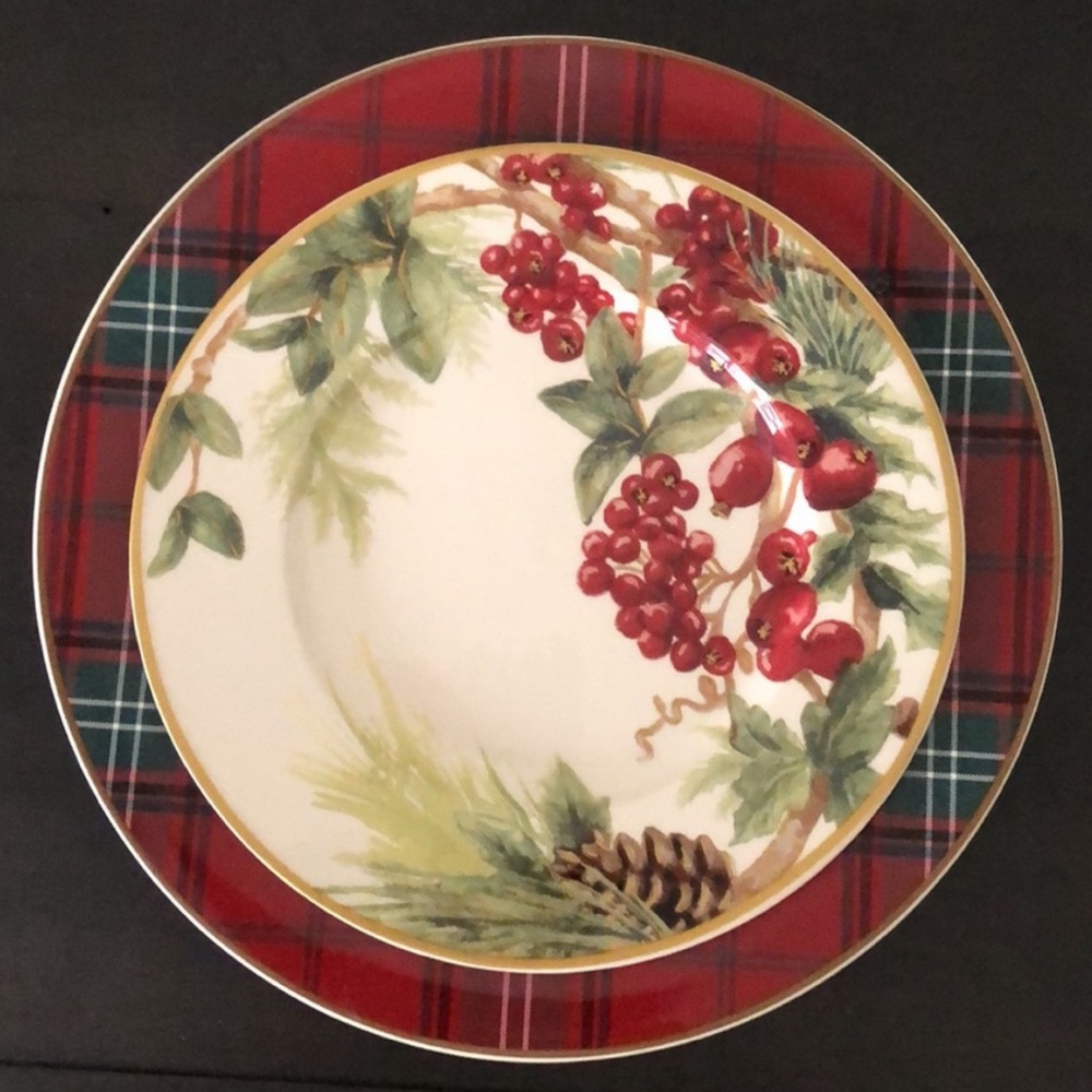 Williams Sonoma Botanical Berries Salad Plates Set/4 New Sold Out! 🍃